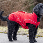 Dog winter jacket  in red